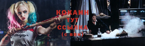 индика Липки