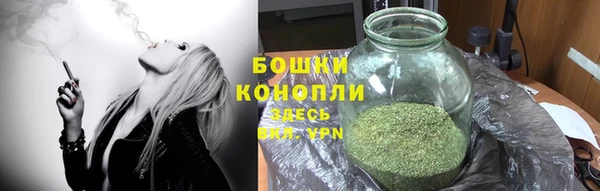 индика Липки