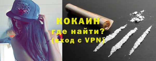 индика Липки