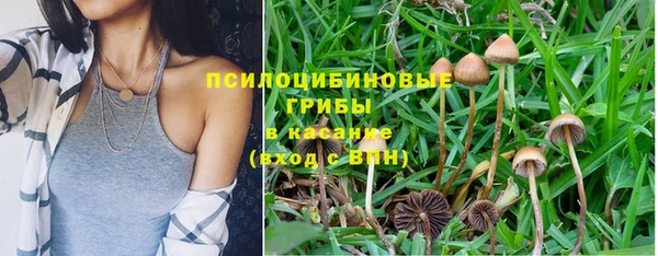 индика Липки