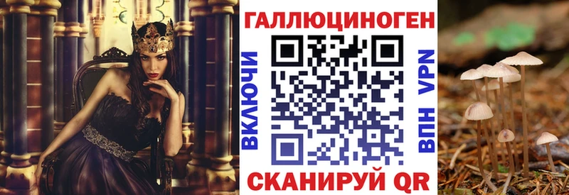 Галлюциногенные грибы мухоморы дарнет шоп Северск