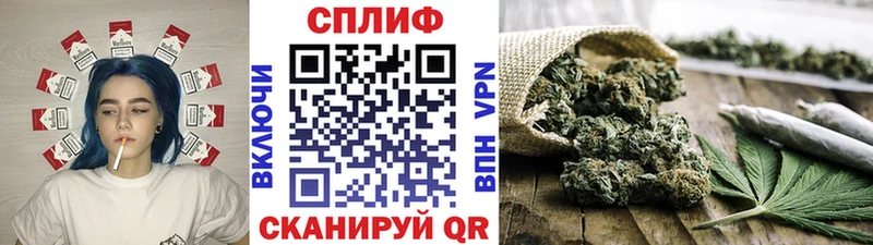 Бошки Шишки марихуана  darknet официальный сайт  Северск 